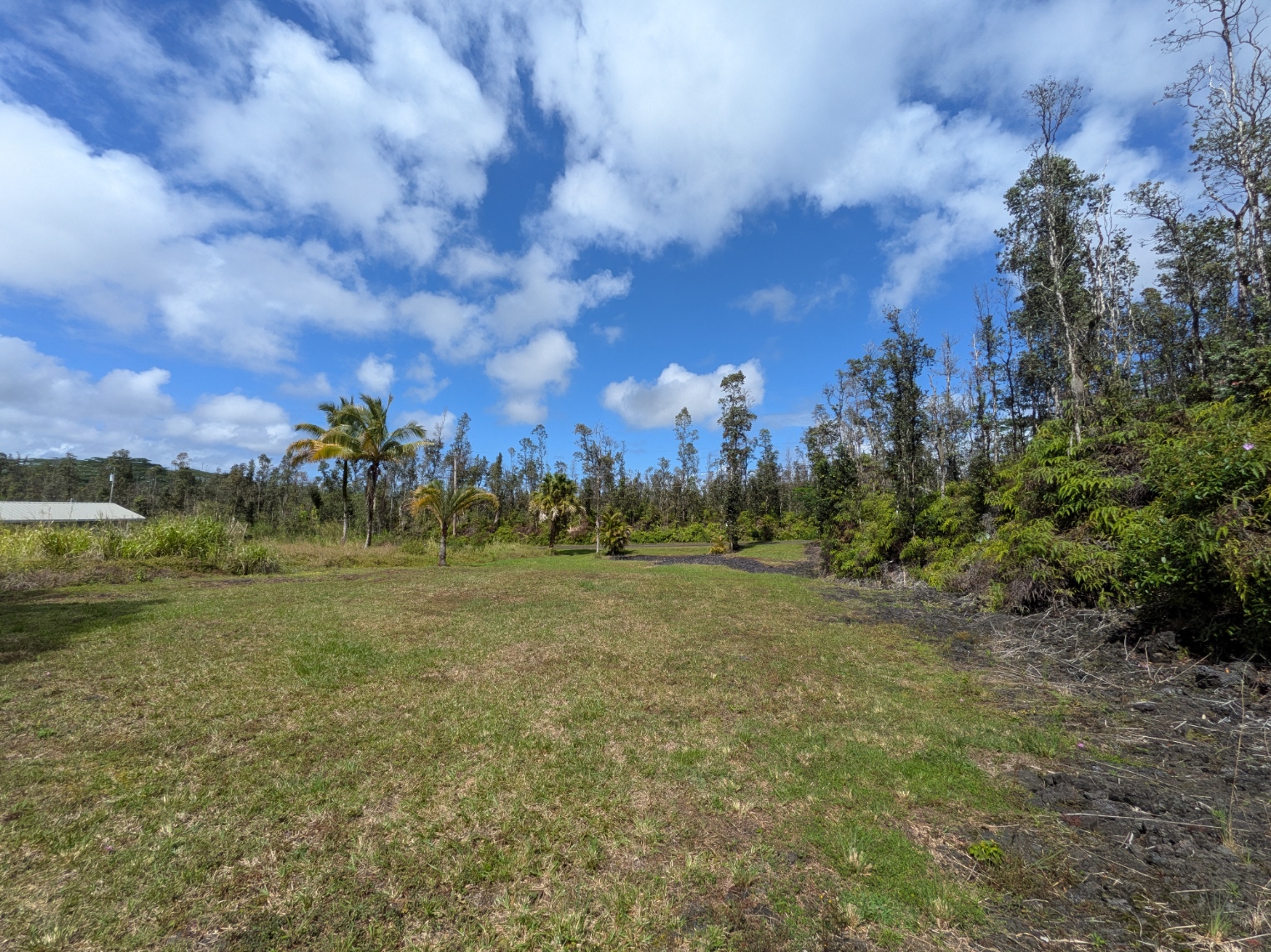 847 Molokai Road Pahoa, HI 96778 - Photo 13 of 24