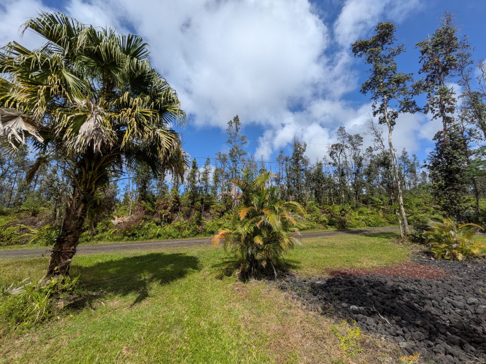 847 Molokai Road Pahoa, HI 96778 - Photo 22 of 24