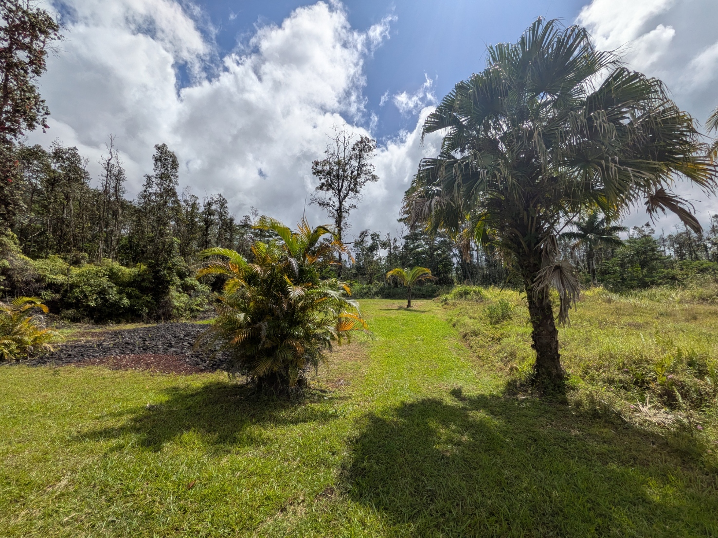 847 Molokai Road Pahoa, HI 96778 - Photo 23 of 24