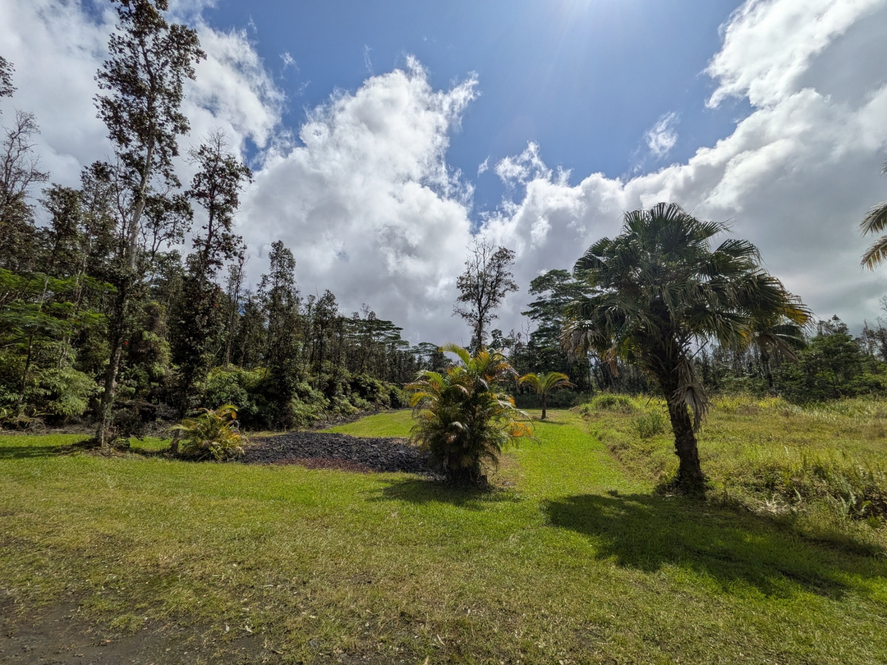 847 Molokai Road Pahoa, HI 96778 - Photo 3 of 24