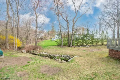 a view of a yard with trees