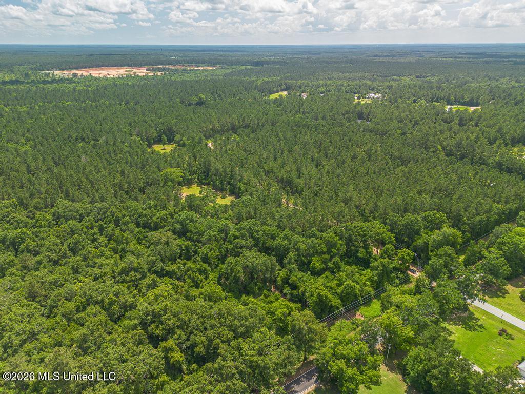 Blackwell Farm Road Saucier, MS 39574 - Photo 10 of 12 29-13