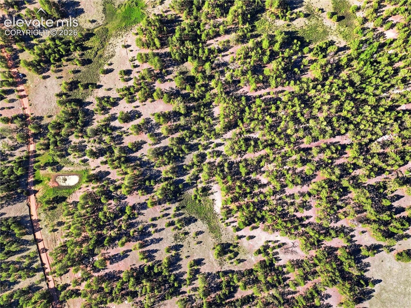 Doe Valley Road Guffey, CO 80820 - Photo 12 of 19 Aerial perspective featuring extensive tree coverage, varied natural terrain, and a visible unpaved road