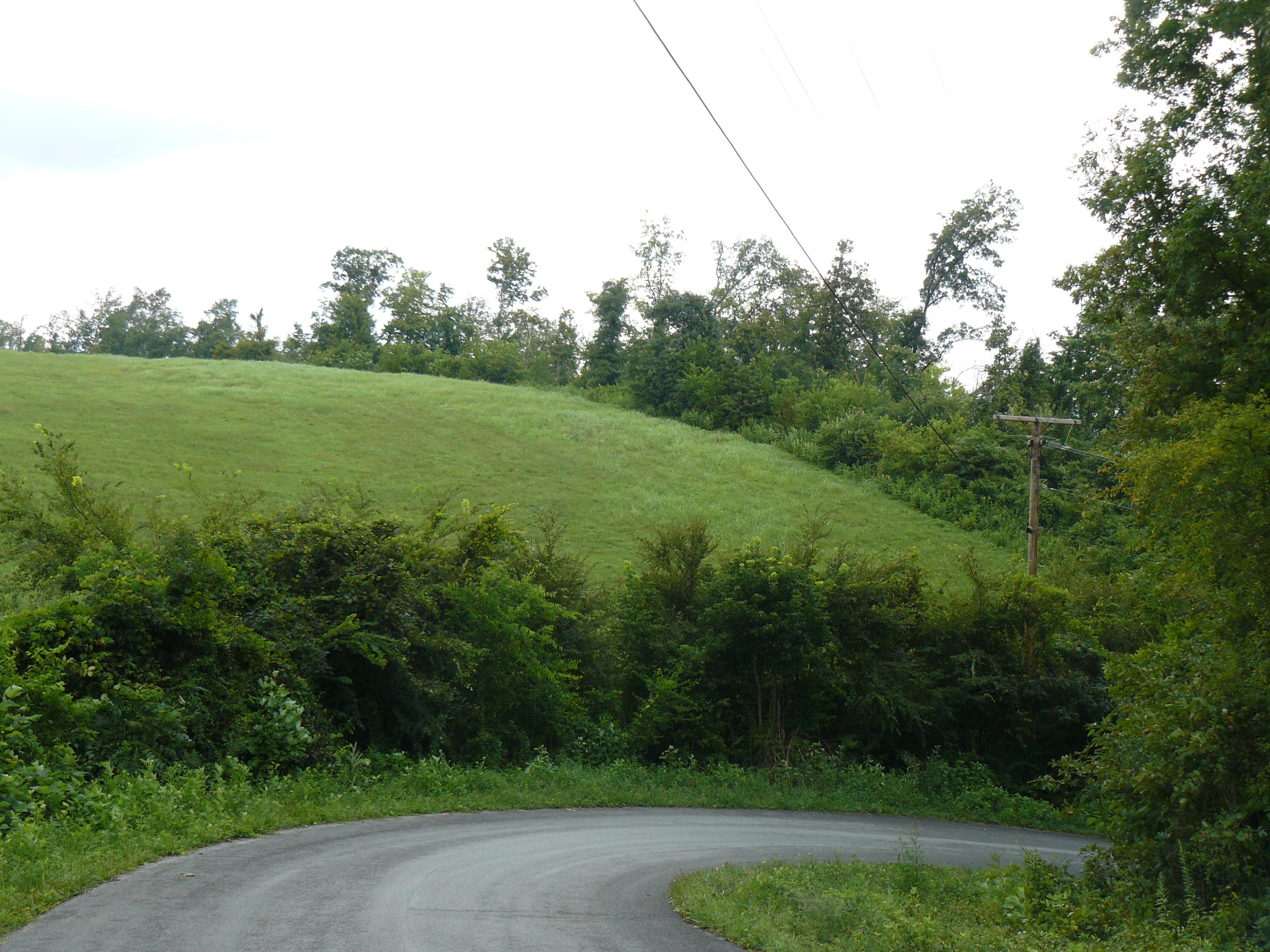 Lot 16 Lookout Drive Rutledge, TN 37861 - Photo 2 of 2 P1370001