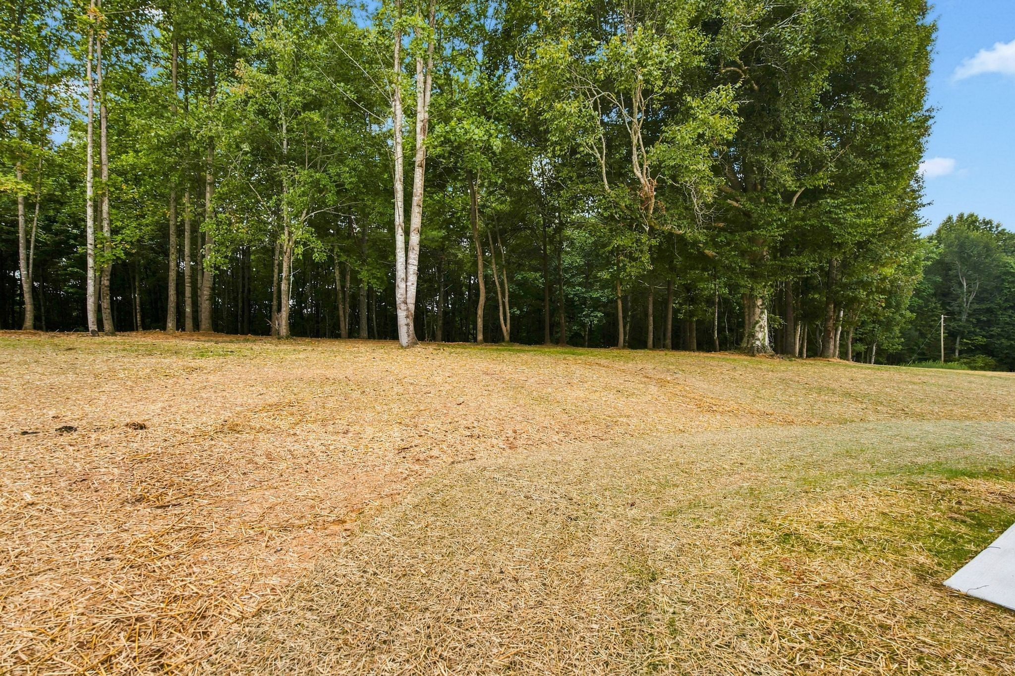 2869 Ferrells Branch Road Beechgrove, TN 37018 - Photo 25 of 25 Gallery Image 25