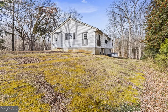 a view of large trees with yard