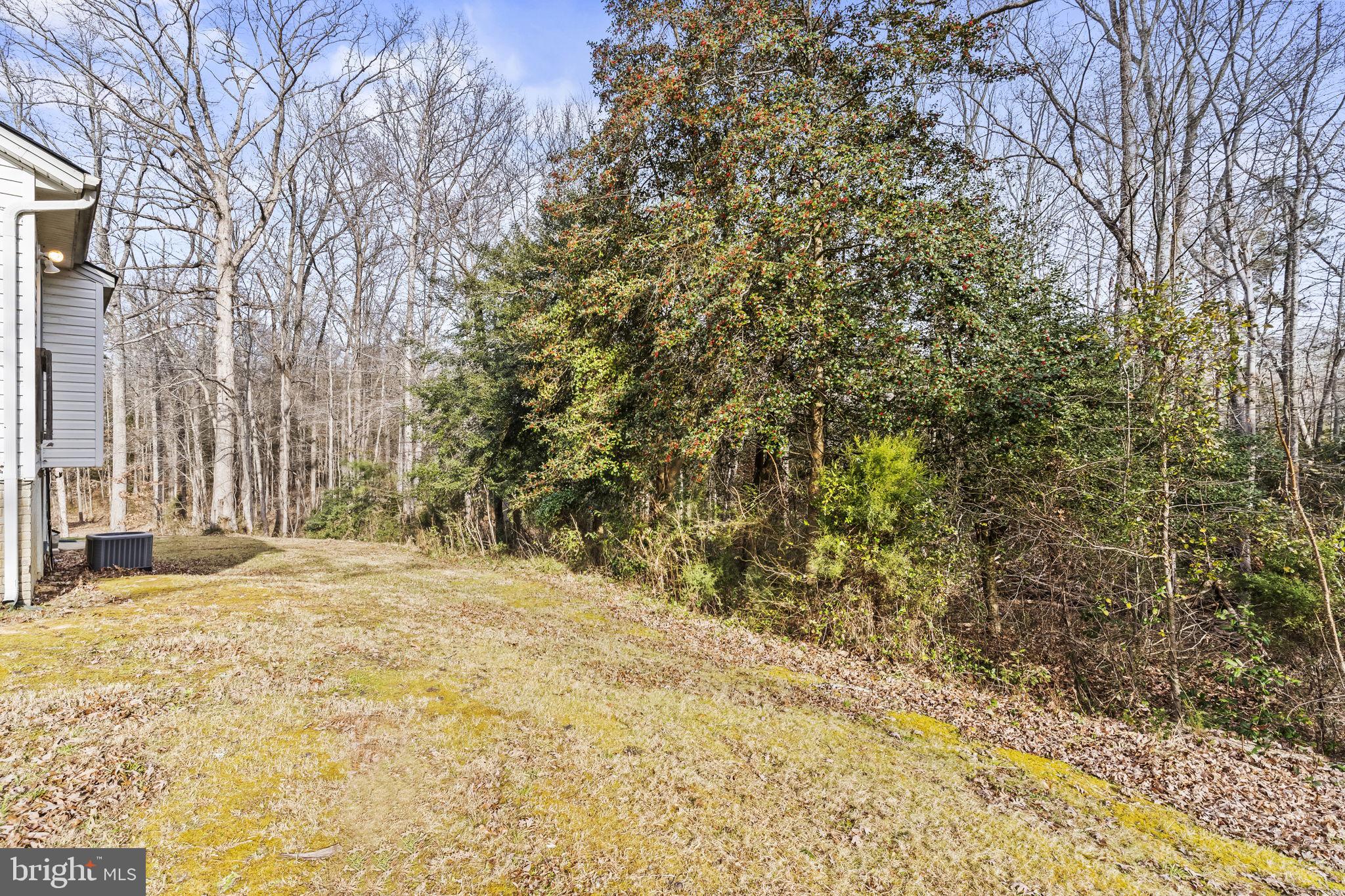 9400 Penns Hill Road La Plata, MD 20646 - Photo 37 of 39 a view of large trees with yard
