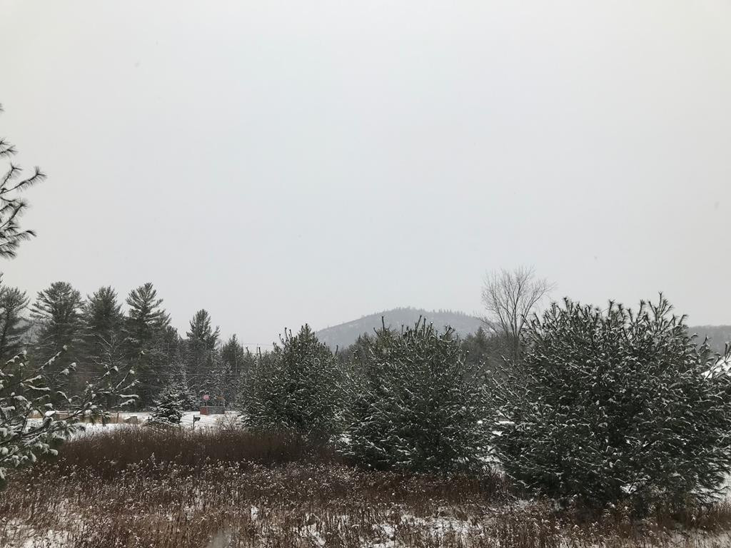 Lot 22 Danielle Road Jay, NY 12941 - Photo 1 of 3 Gallery Image 1