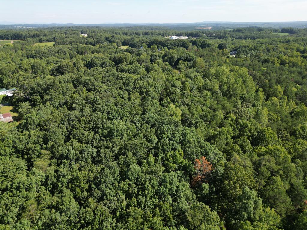 240 Tabor Road Gladys, VA 24554 - Photo 8 of 10 Gallery Image 8