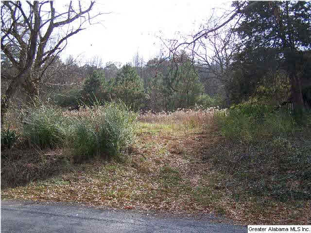 320 County Road 42, Unit 25 AC Oneonta, AL 35121 - Photo 4 of 6