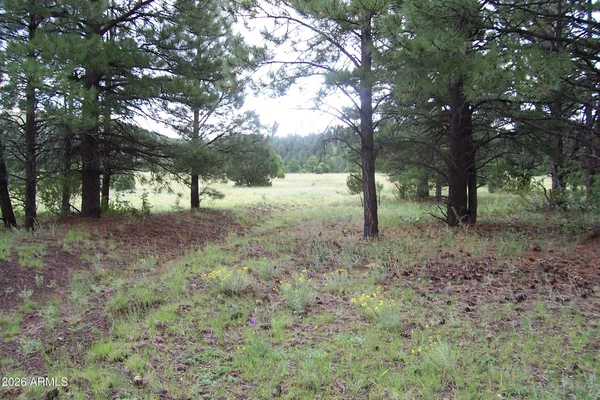 $255,000 | Lot 5 Red Cabin Ranch, Unit 5, Vernon, AZ 85940