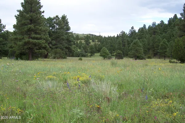 $255,000 | Lot 5 Red Cabin Ranch, Unit 5, Vernon, AZ 85940