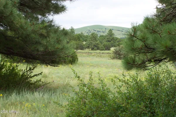 $255,000 | Lot 5 Red Cabin Ranch, Unit 5, Vernon, AZ 85940