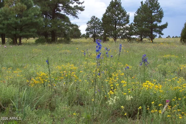 $255,000 | Lot 5 Red Cabin Ranch, Unit 5, Vernon, AZ 85940