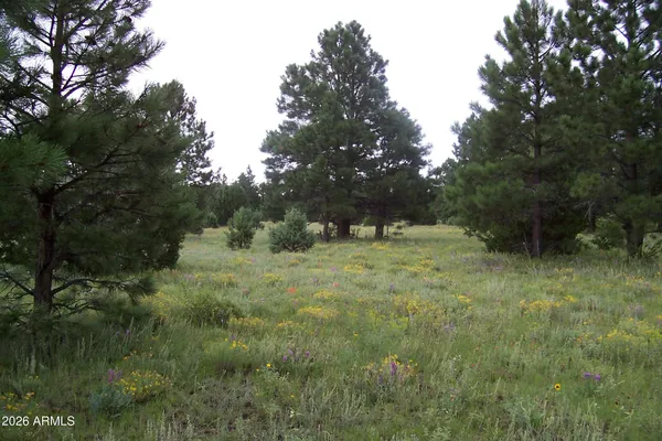 $255,000 | Lot 5 Red Cabin Ranch, Unit 5, Vernon, AZ 85940
