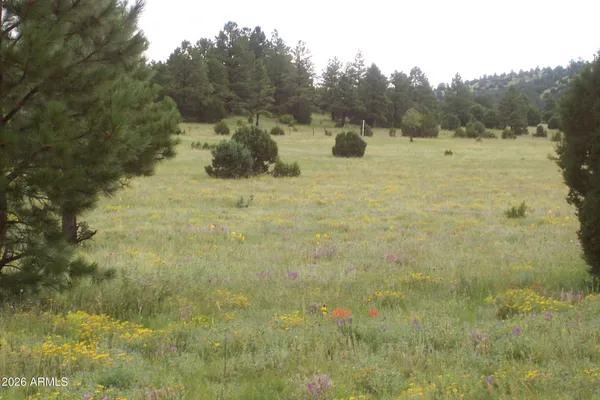 $255,000 | Lot 5 Red Cabin Ranch, Unit 5, Vernon, AZ 85940