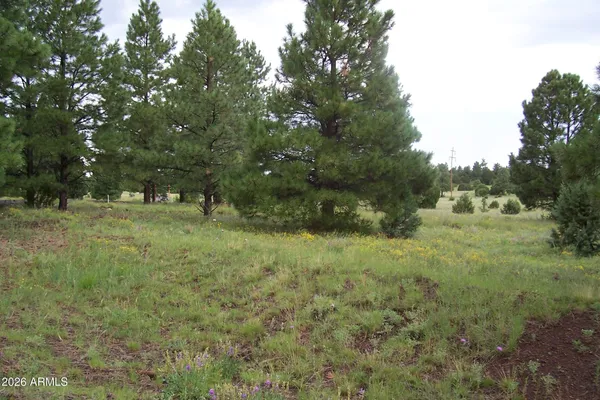 $255,000 | Lot 5 Red Cabin Ranch, Unit 5, Vernon, AZ 85940