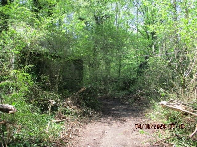 0 Honeycomb Road Grant, AL 35747 - Photo 3 of 8 a view of a forest with trees in the background