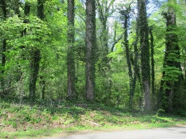 a view of a yard with a small yard