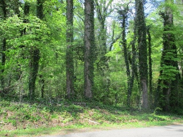 0 Honeycomb Road Grant, AL 35747 - Photo 4 of 8 a view of a yard with a small yard
