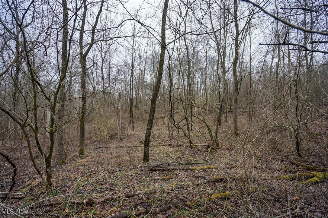Red Lane Road Cumberland, OH 43732 - Photo 11 of 18 View of landscape