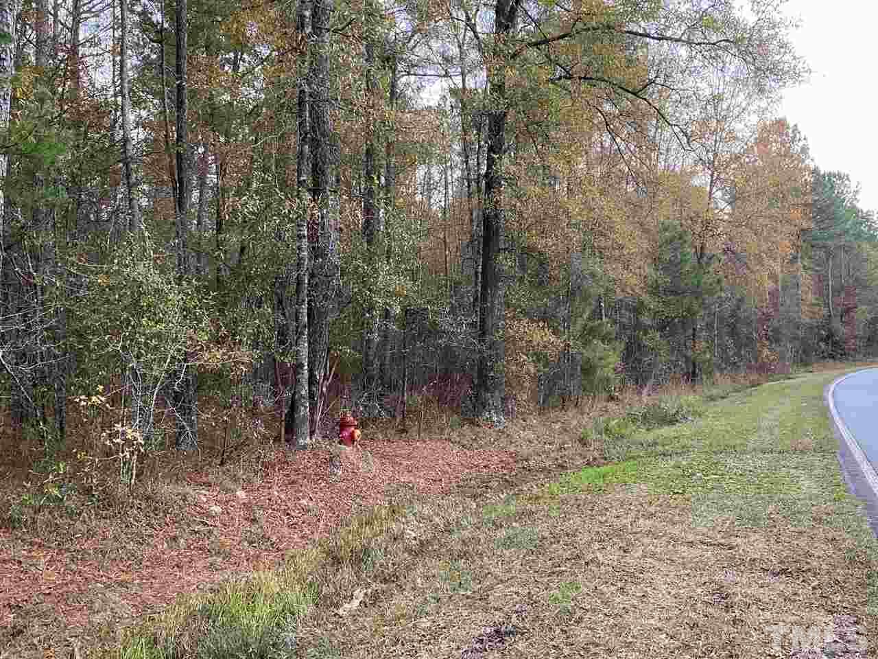 Covington Road Bunnlevel, NC 28323 - Photo 3 of 4 a view of a forest with trees