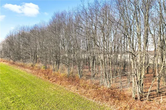 a view of a house with a yard and a street