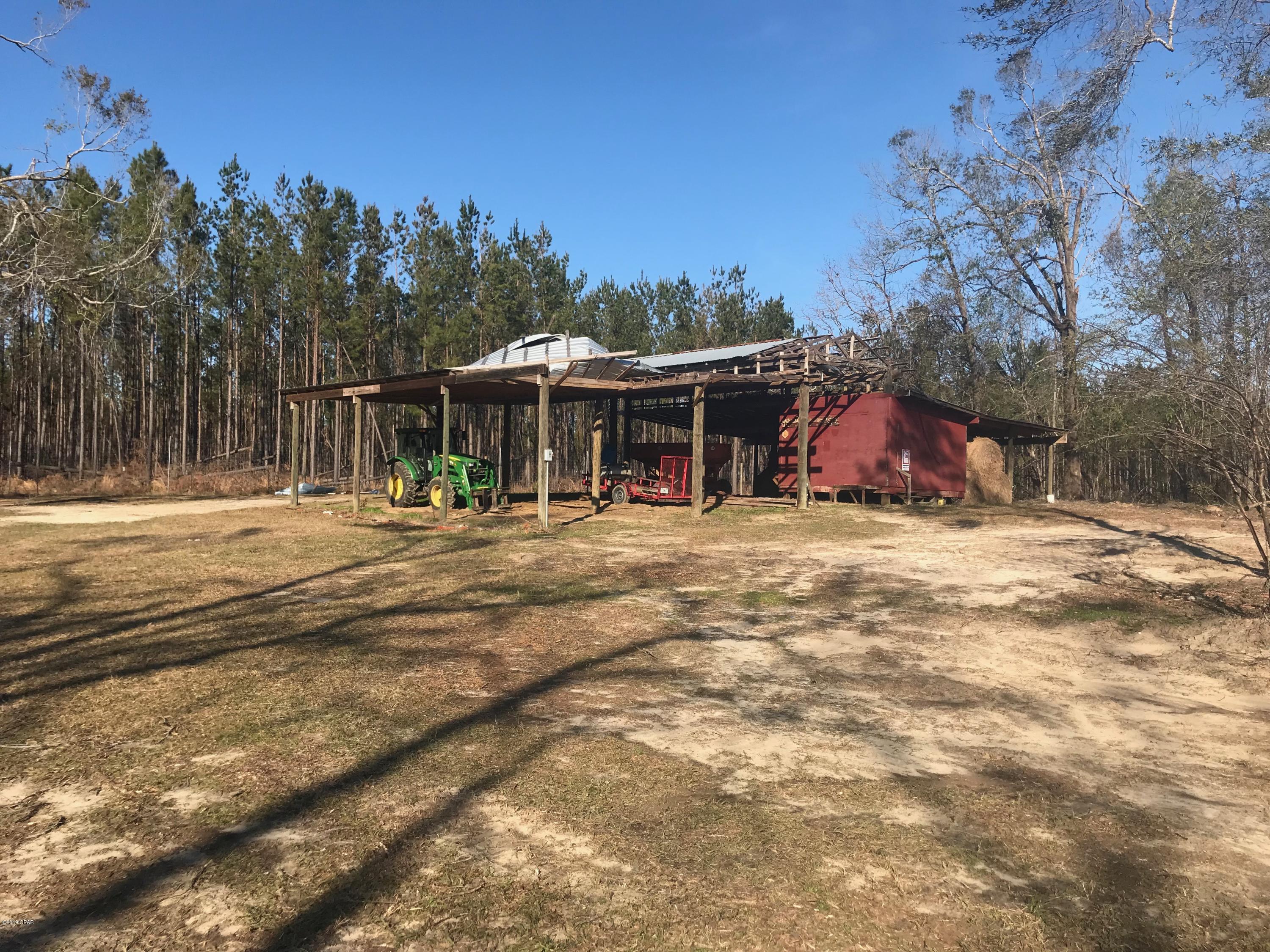 4500 River Road Sneads, FL 32460 - Photo 2 of 13