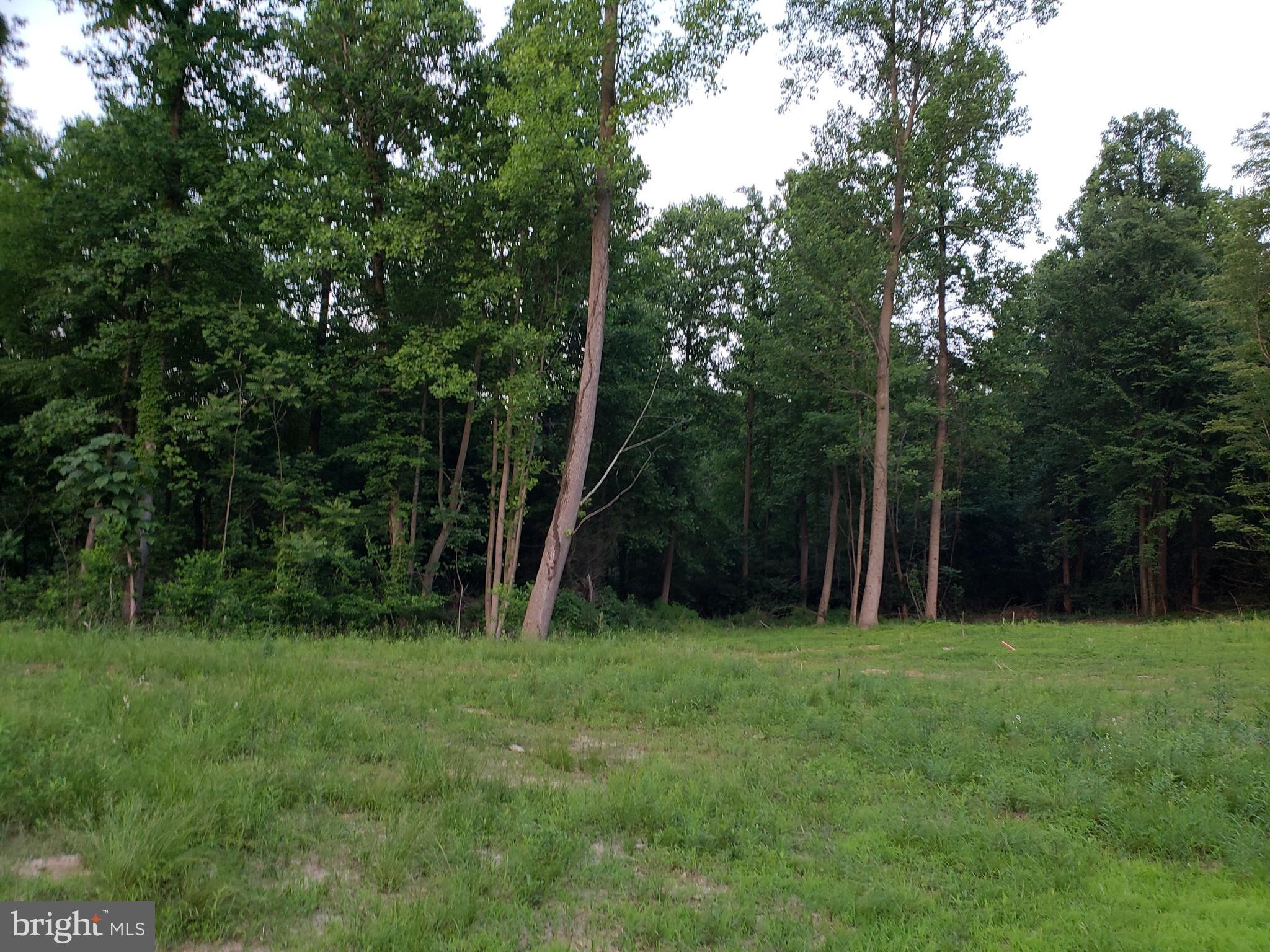 77 Hilldale Road Pequea, PA 17565 - Photo 6 of 6 a view of green field with trees in the background