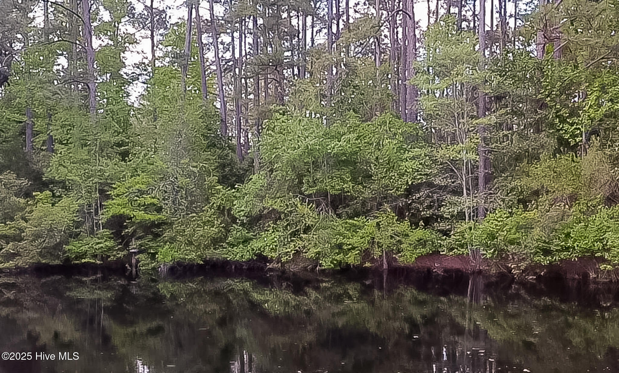 2 Augusta Way Pinehurst, NC 28374 - Photo 1 of 20 2 Augusta