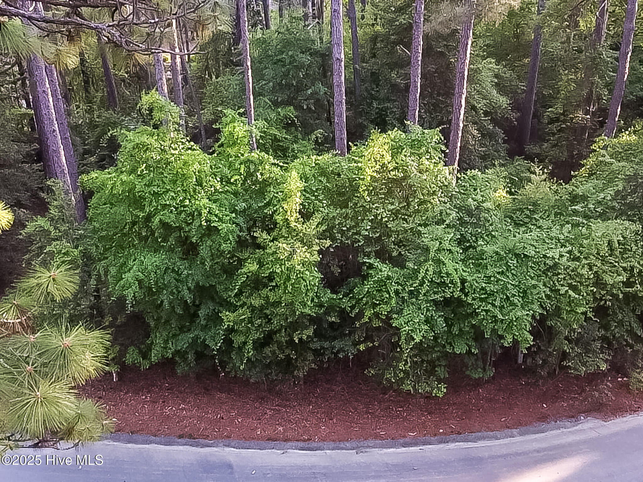 2 Augusta Way Pinehurst, NC 28374 - Photo 11 of 20 463680B7-DC57-47DF-8A7F-964D16126683_1_1