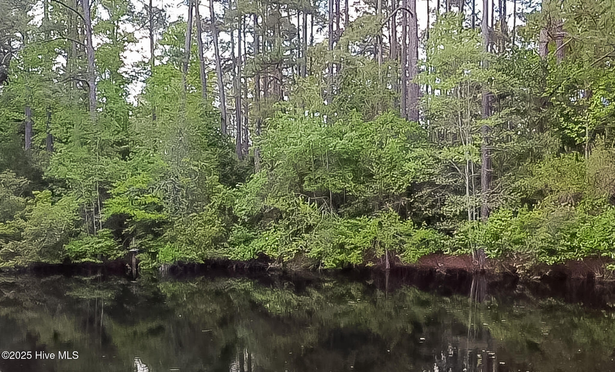 2 Augusta Way Pinehurst, NC 28374 - Photo 12 of 20 A2EDB829-0D6A-4EE2-95A2-ABEB8903A71D_1_1