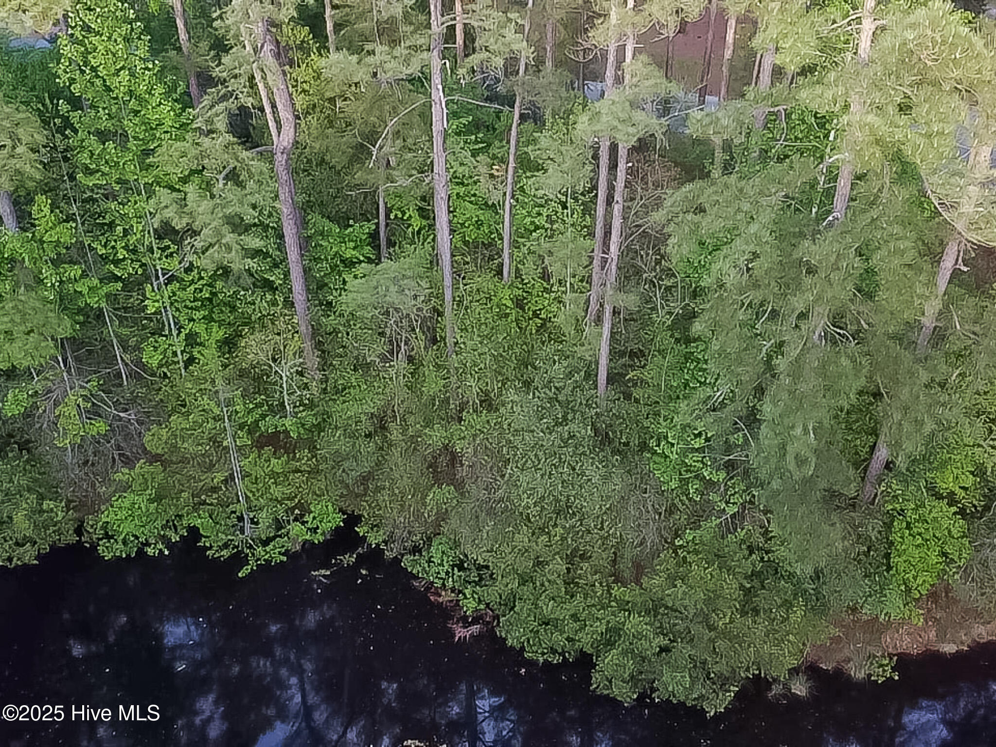 2 Augusta Way Pinehurst, NC 28374 - Photo 13 of 20 DD53221C-2C6E-4C6E-B100-62360D3725E2_1_1