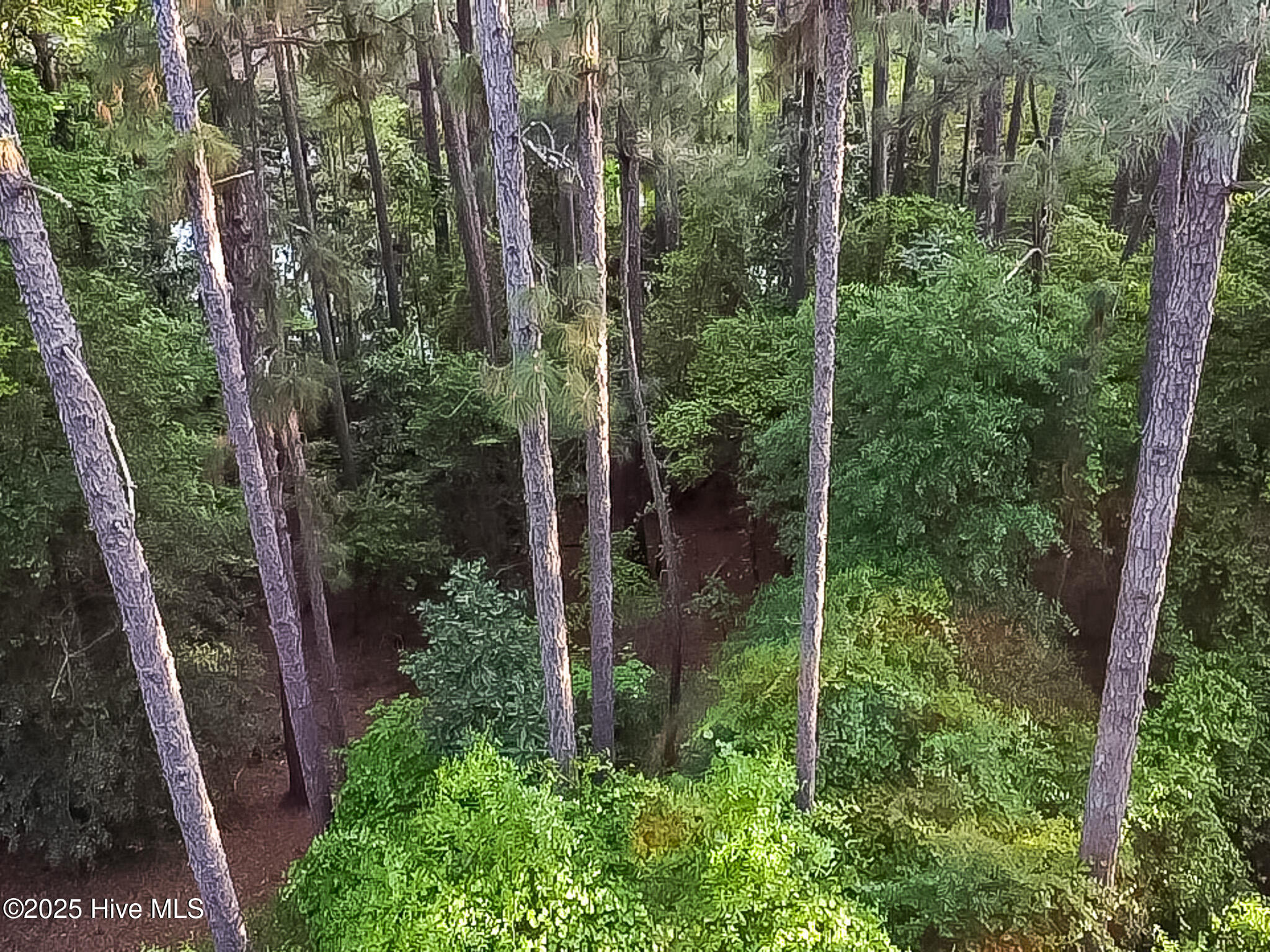 2 Augusta Way Pinehurst, NC 28374 - Photo 14 of 20 F4CD772C-062E-4155-9FA9-FB823223BF07_1_1