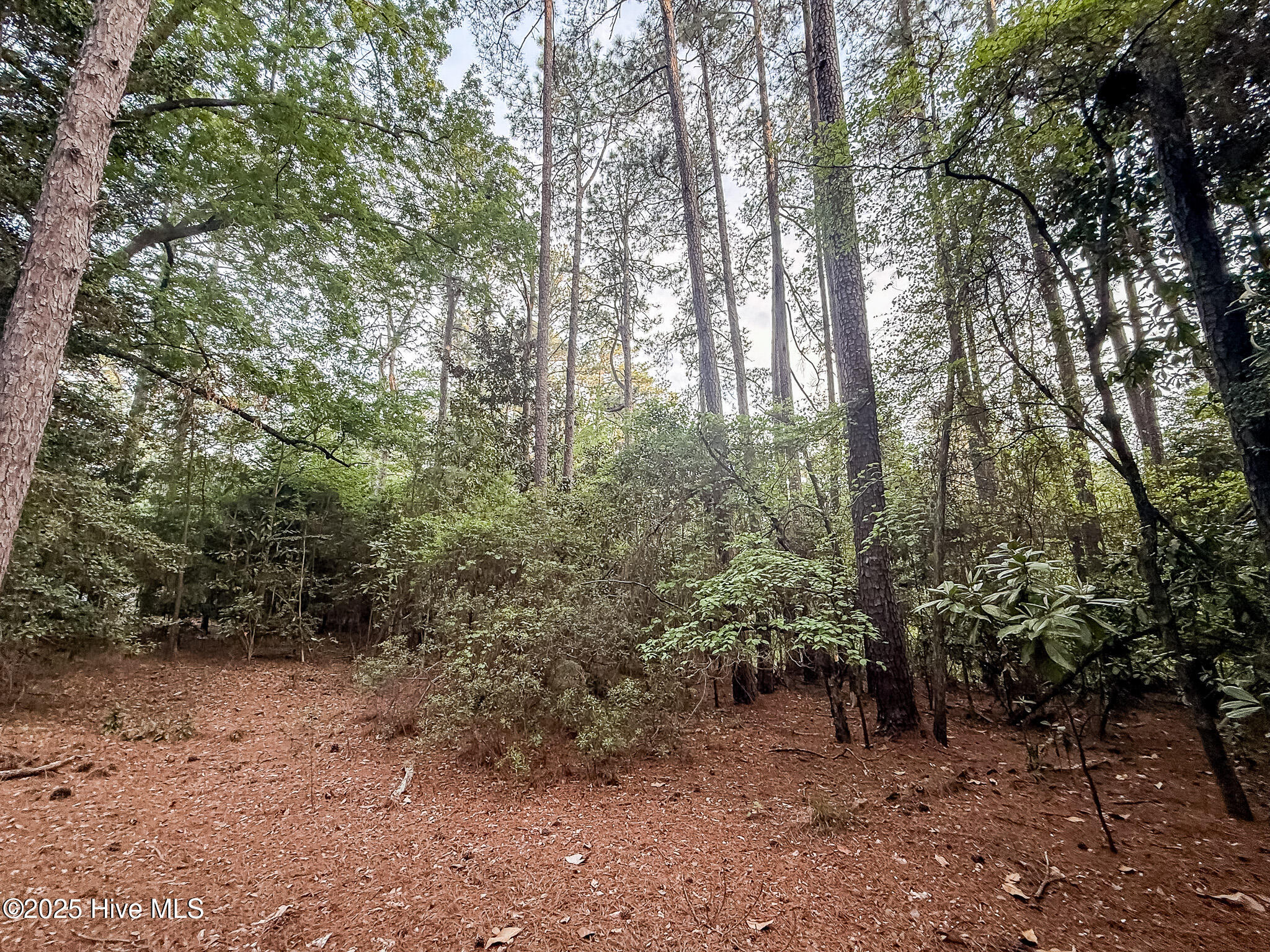 2 Augusta Way Pinehurst, NC 28374 - Photo 15 of 20 F34DC132-CCBA-4BF3-816E-ED1757B4B67E