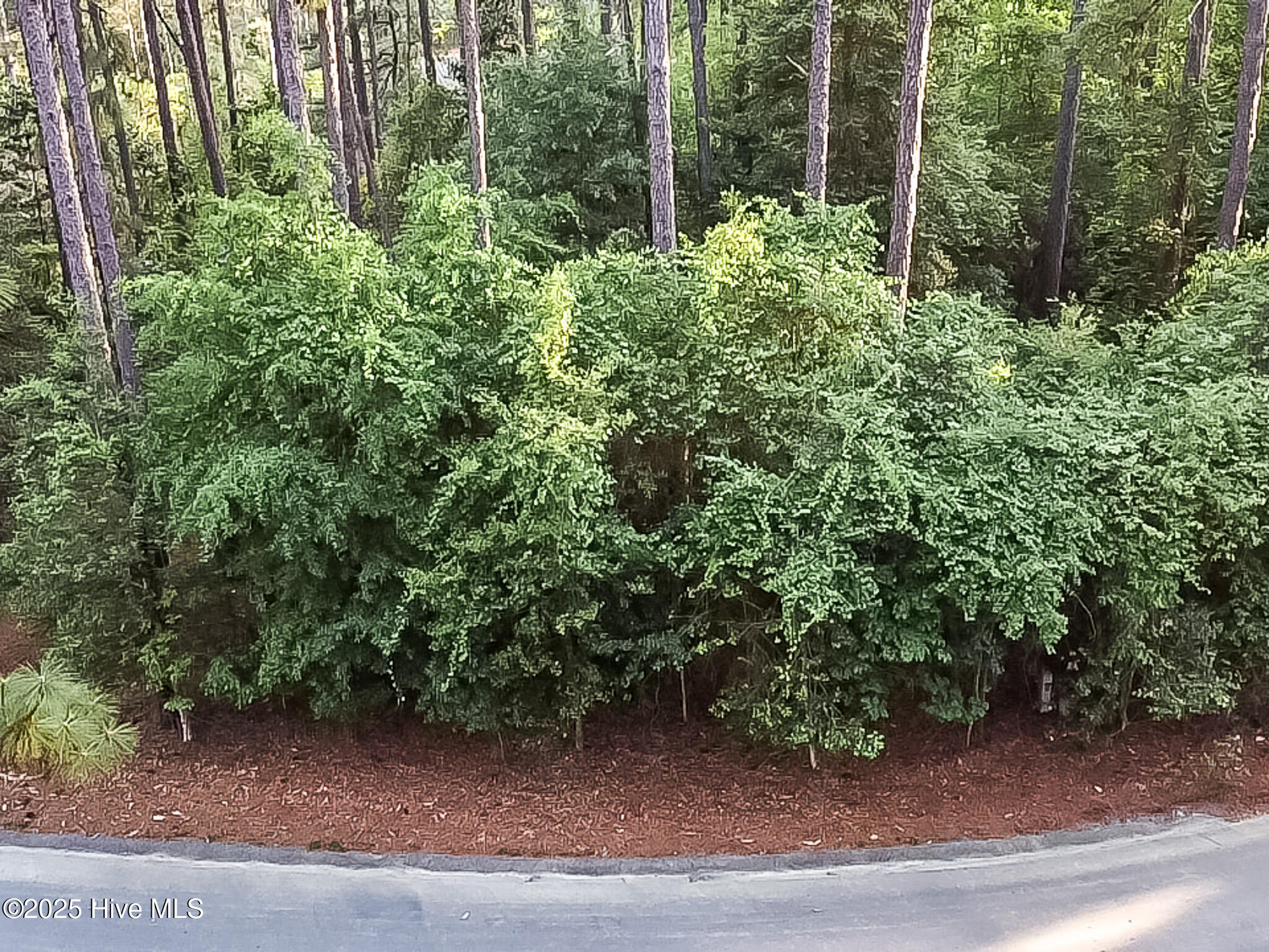 2 Augusta Way Pinehurst, NC 28374 - Photo 16 of 20 FC1F7DF7-DB1D-45F1-9C96-8C8E0164CAFA_1_1