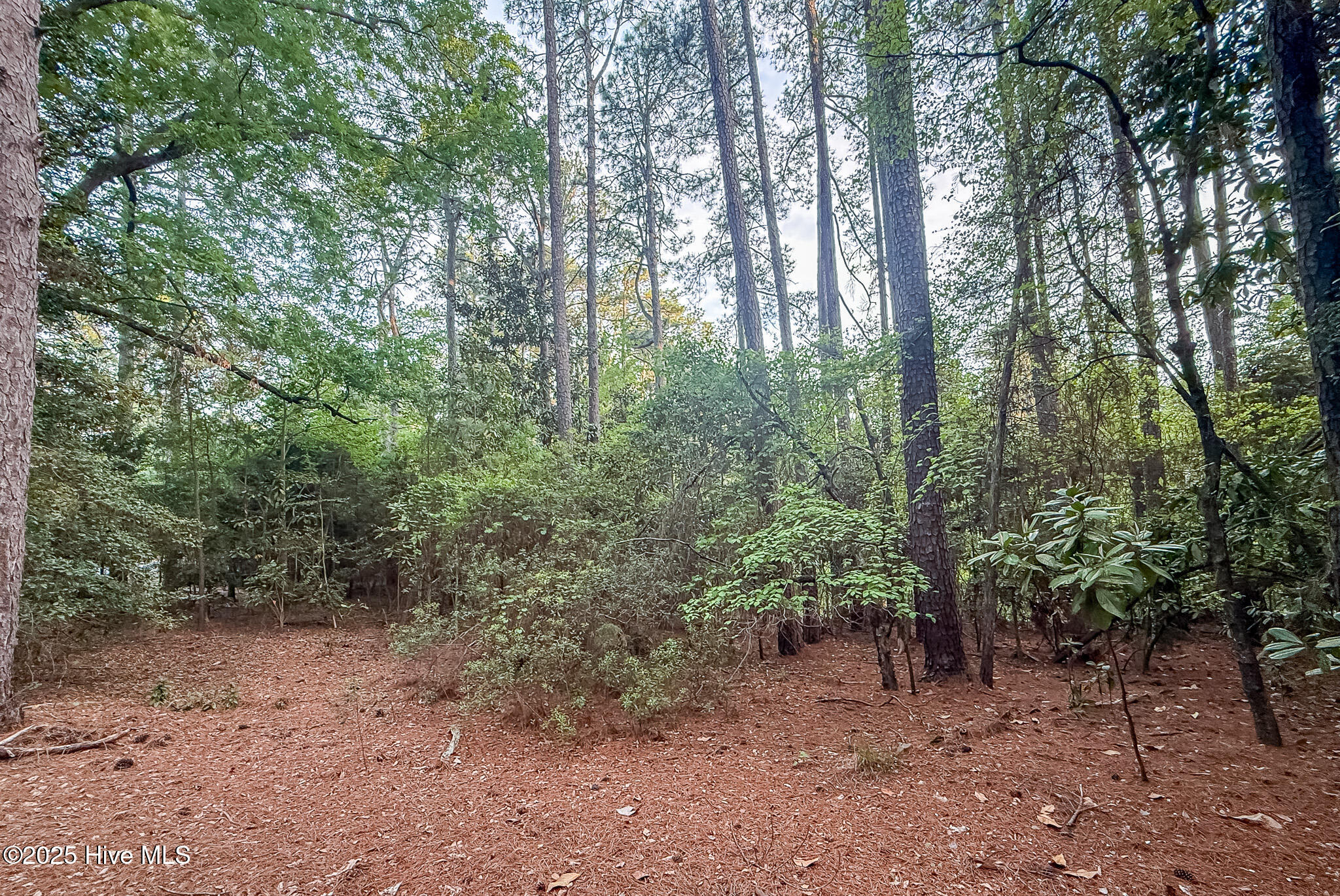 2 Augusta Way Pinehurst, NC 28374 - Photo 3 of 20 8DC3A8C4-19E2-447D-9391-4449CF089675