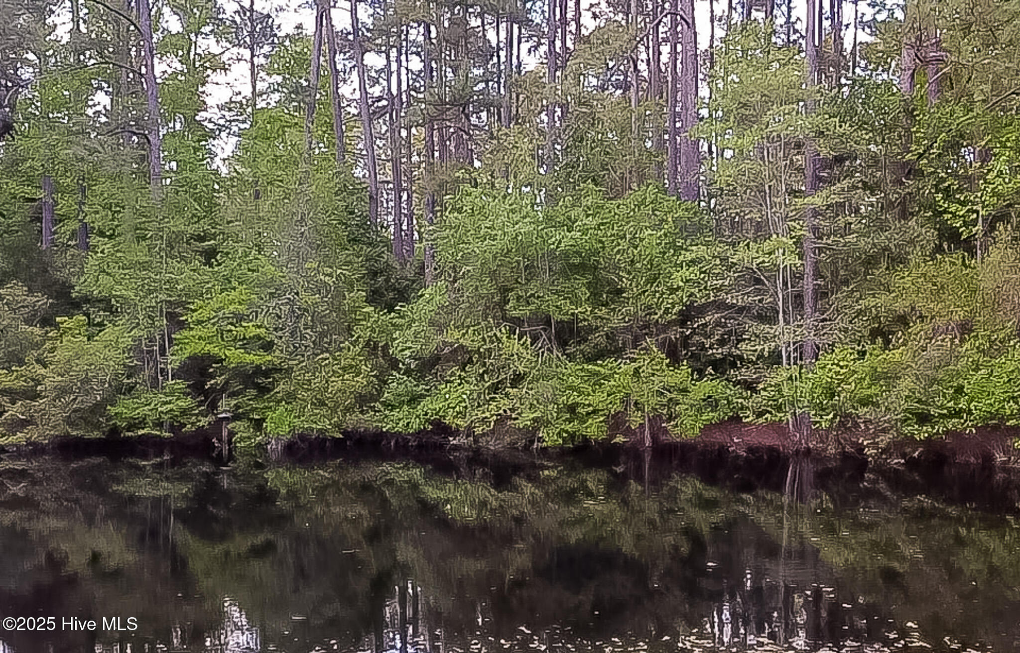 2 Augusta Way Pinehurst, NC 28374 - Photo 4 of 20 8FE9A49A-7BB5-4EF1-B686-5379FE8559F3_1_1