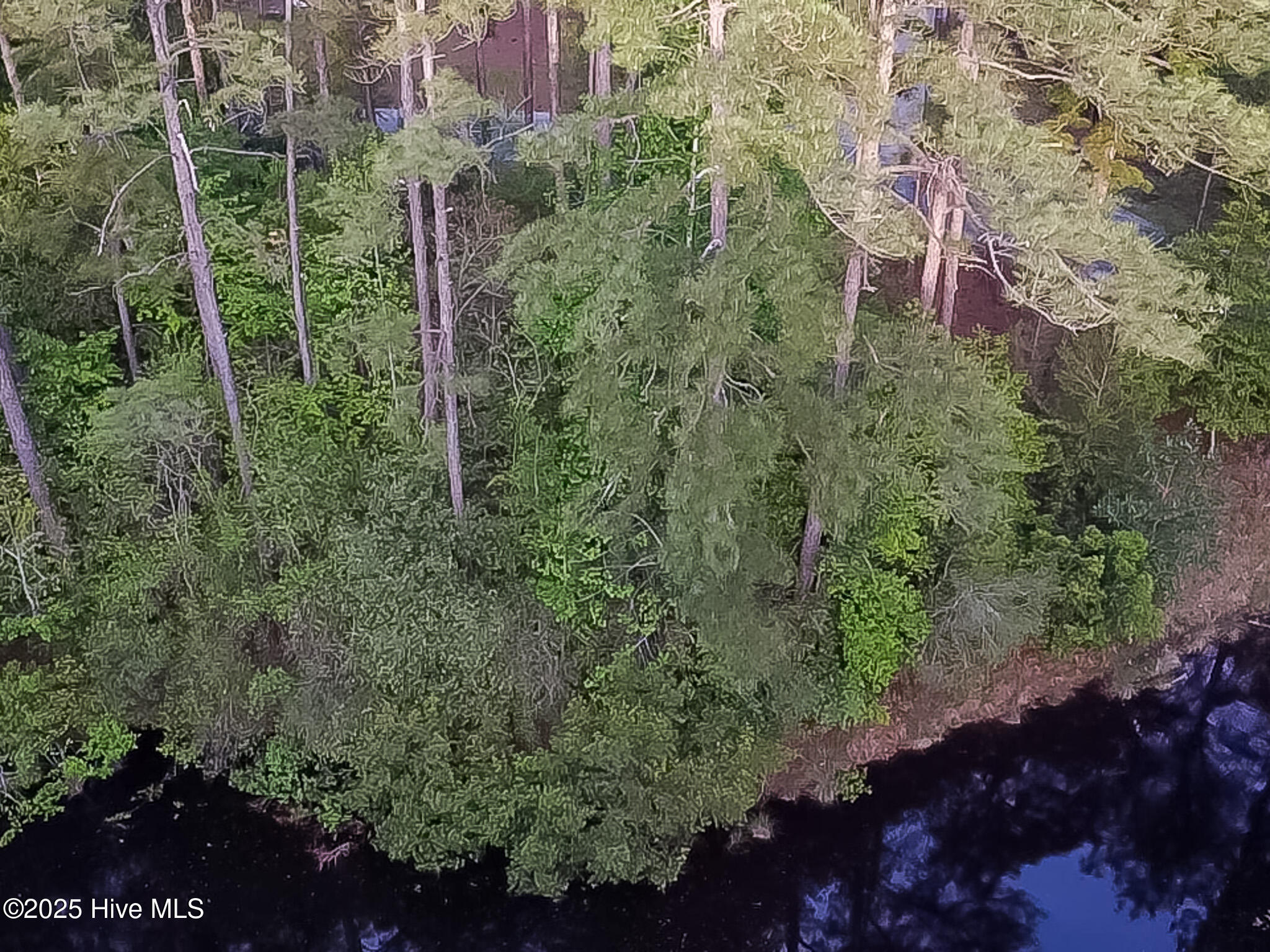 2 Augusta Way Pinehurst, NC 28374 - Photo 5 of 20 25C36DAB-057A-40BF-B95D-5F8734C3482E_1_1