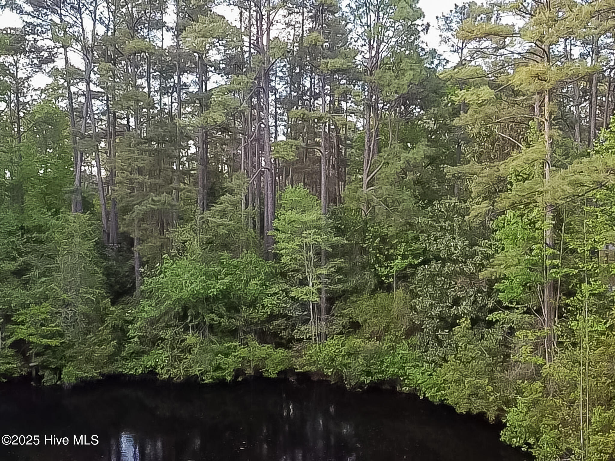 2 Augusta Way Pinehurst, NC 28374 - Photo 9 of 20 915D9760-D25E-4C7B-9C16-C870CB9F46A3_1_1