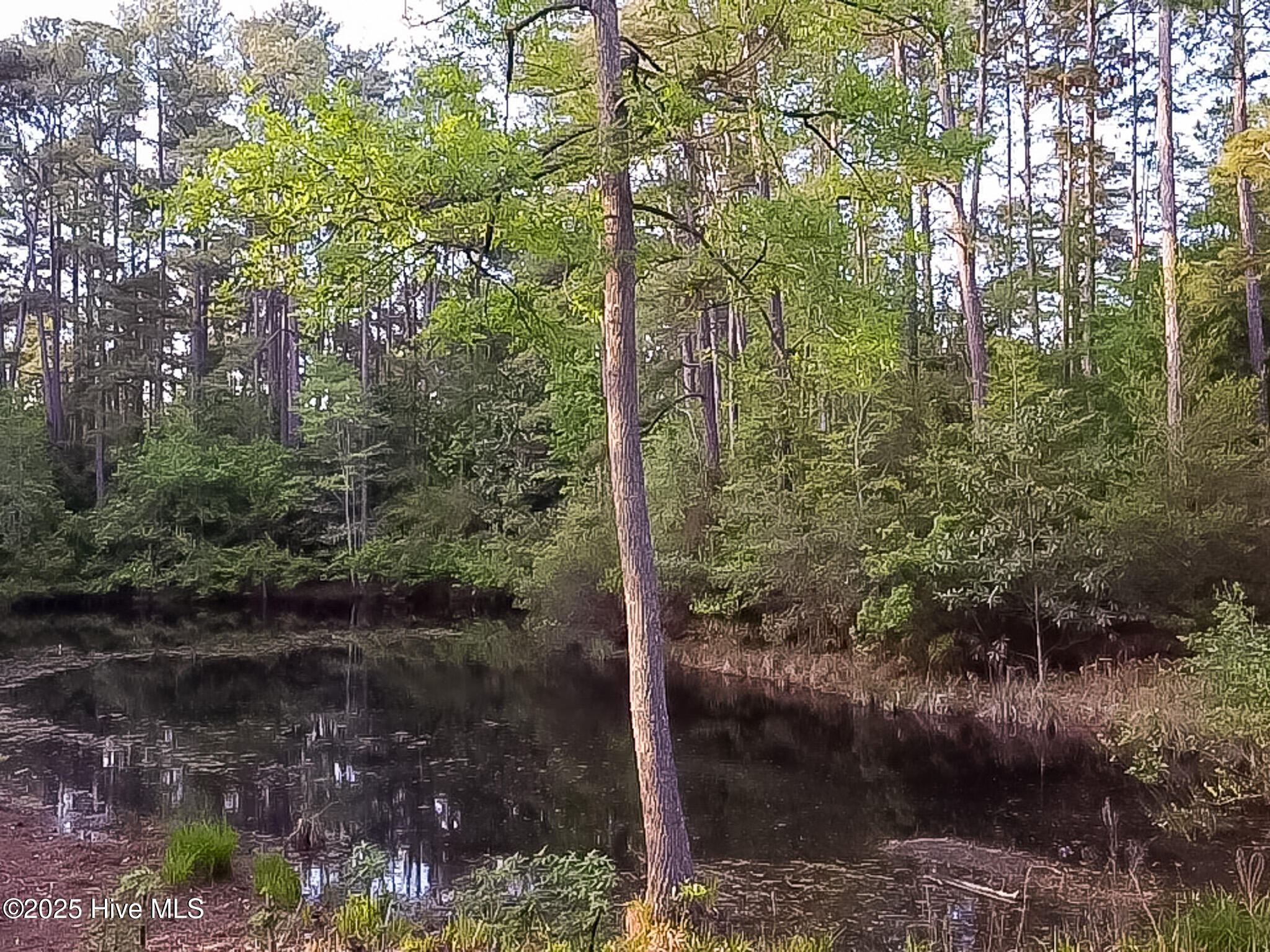 2 Augusta Way Pinehurst, NC 28374 - Photo 10 of 20 F8B298FB-0915-4C74-87A3-64EA16B5799B_1_1