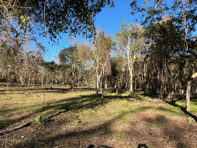 $300,000 | 519 County Road 849, Brazoria, TX 77422