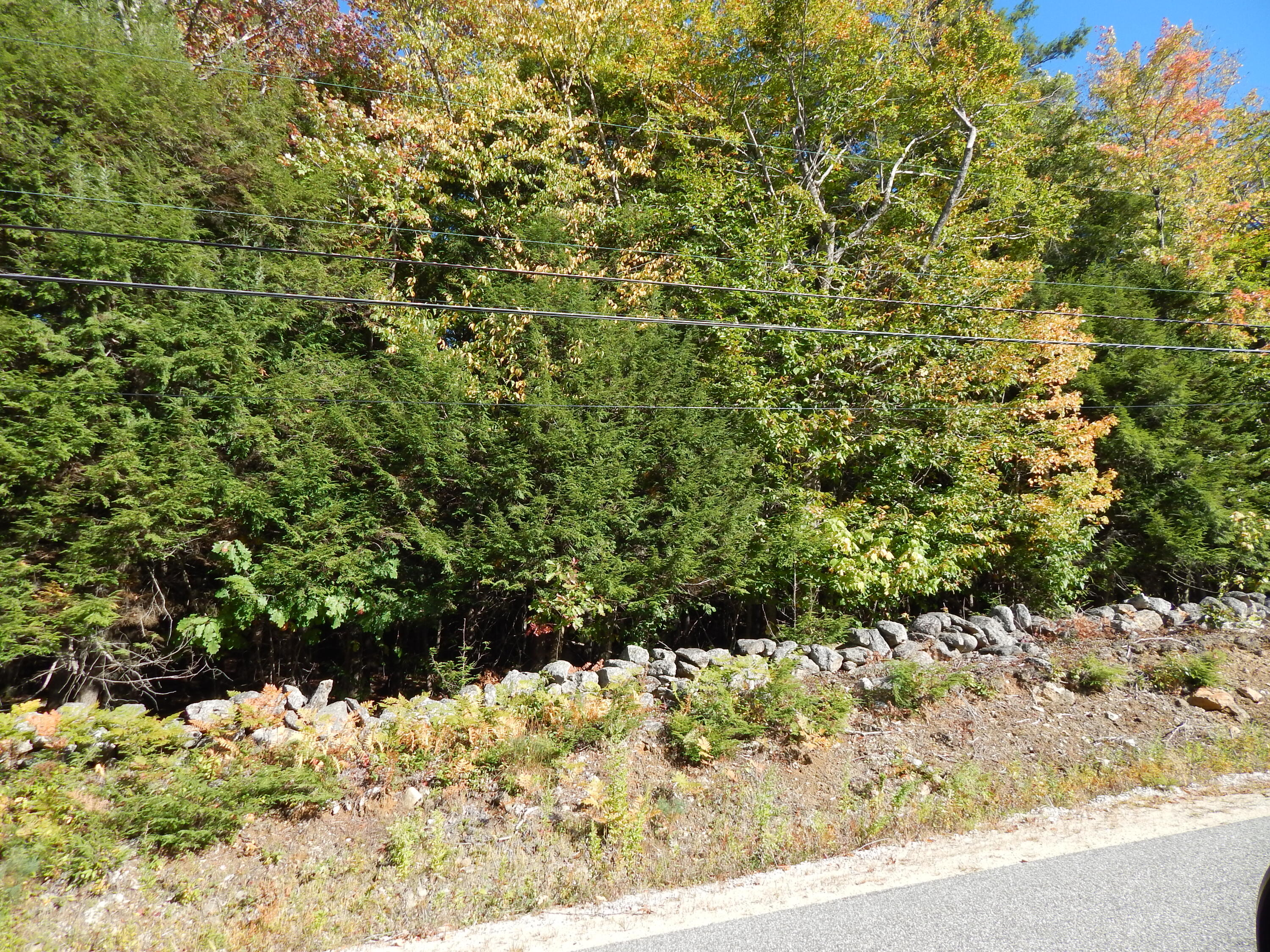 Lot 4 Ellingwood Road West Paris, ME 04289 - Photo 1 of 1 DSCN5125