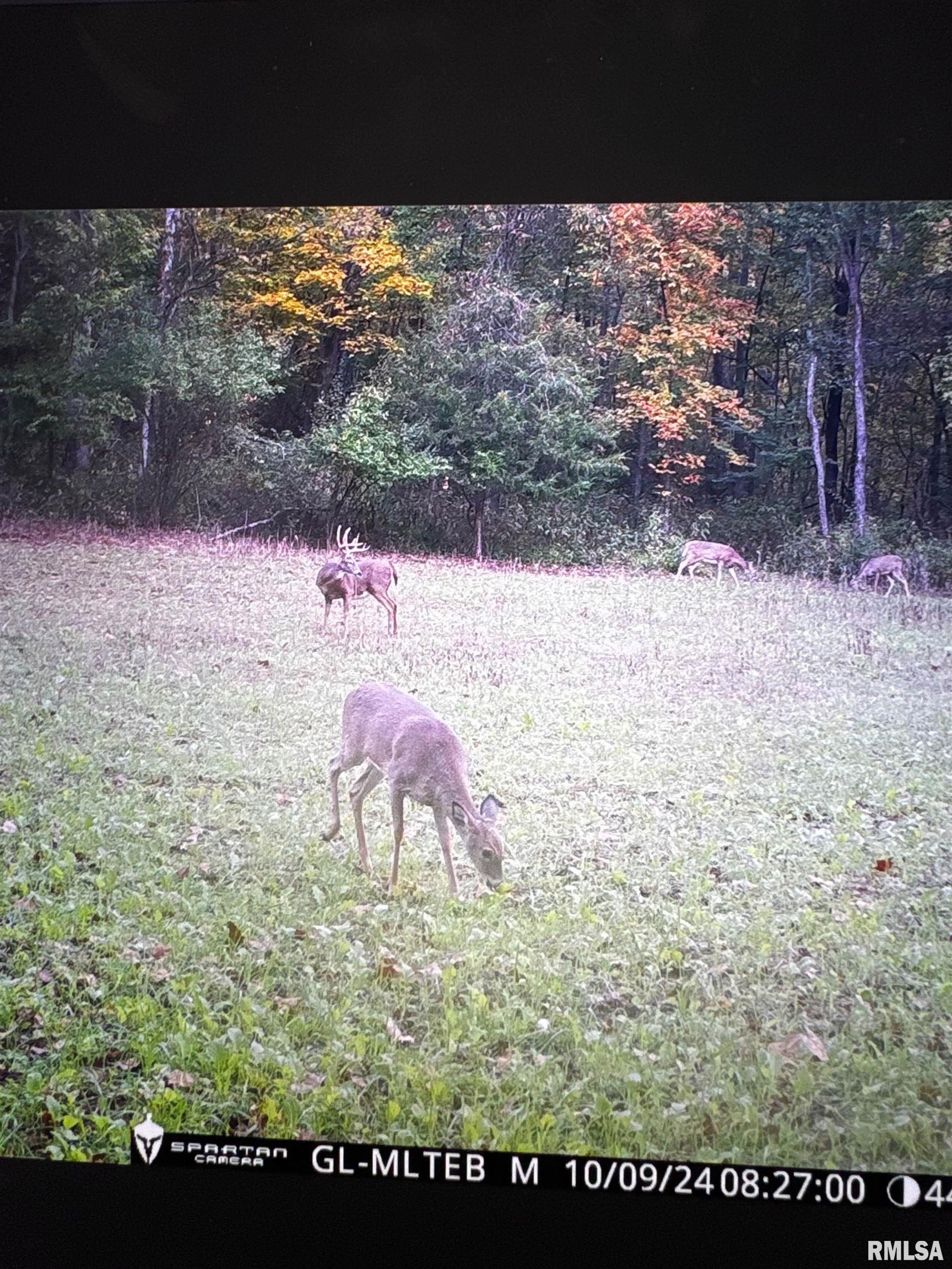 Rr Christian Neck Road Rushville, IL 62681 - Photo 3 of 11