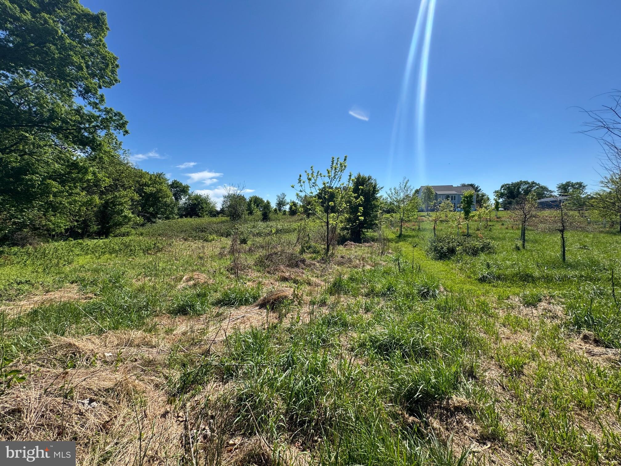 15491 Barnesville Road Boyds, MD 20841 - Photo 16 of 18 a view of a green field with lots of bushes