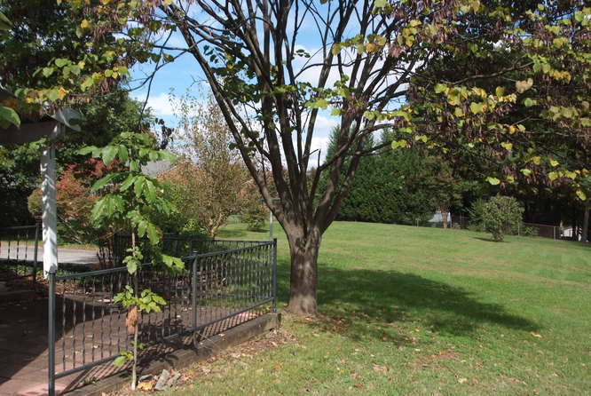 1023 Persinger Road Southwest Roanoke, VA 24015 - Photo 41 of 45 1023_Persinger_Road_SW_Roanoke-small-033