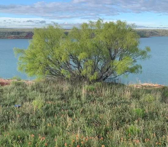 $65,000 | 808 South Cornell Avenue, Fritch, TX 79036