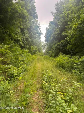 $60,000 | 78 Pitch Pine Drive, Sylva, NC 28779