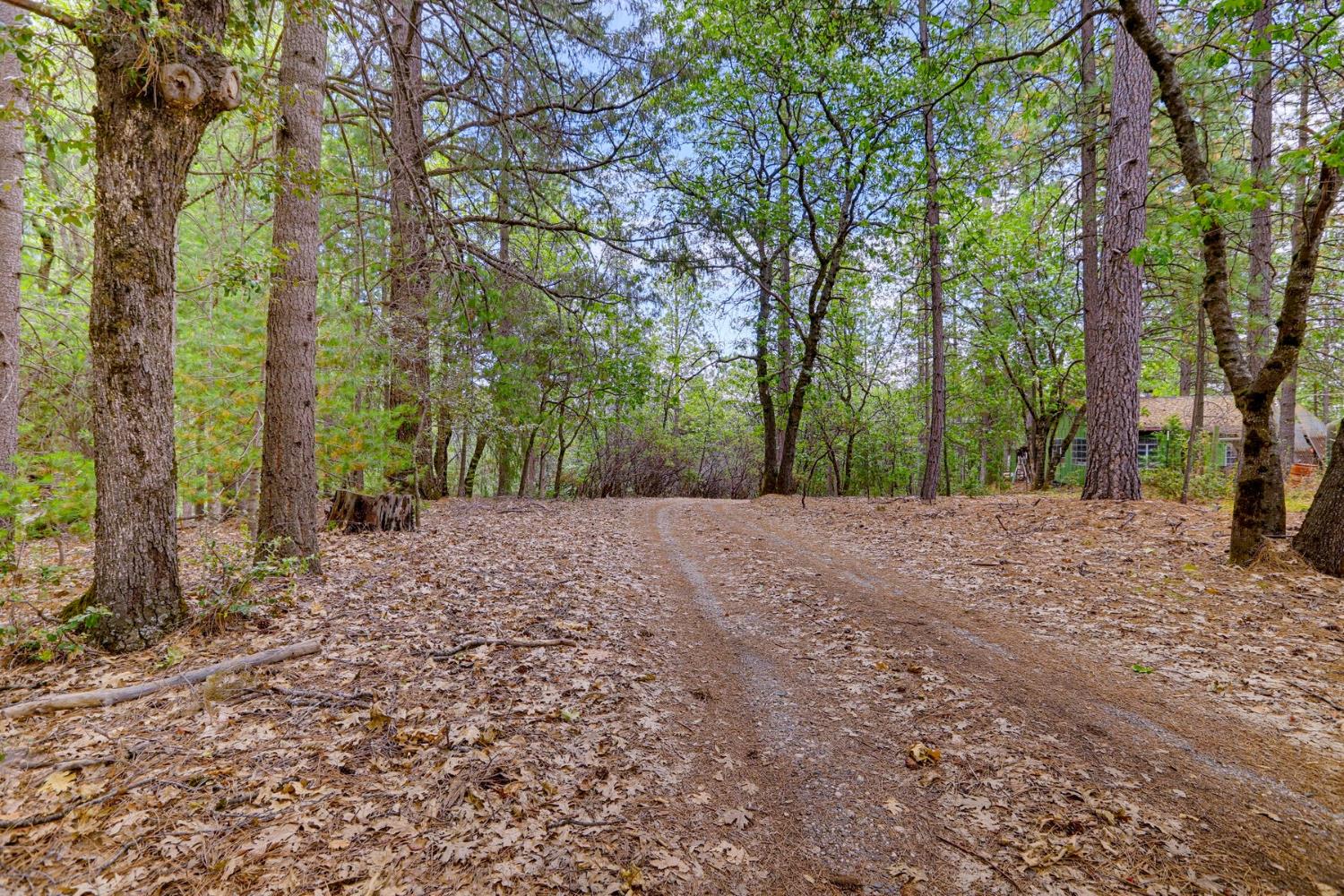 16020 Brooks Road Grass Valley, CA 95945 - Photo 4 of 12