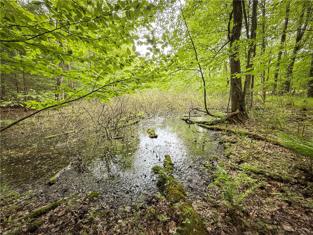 Gifford Road Hannibal, NY 13074 - Photo 43 of 50
